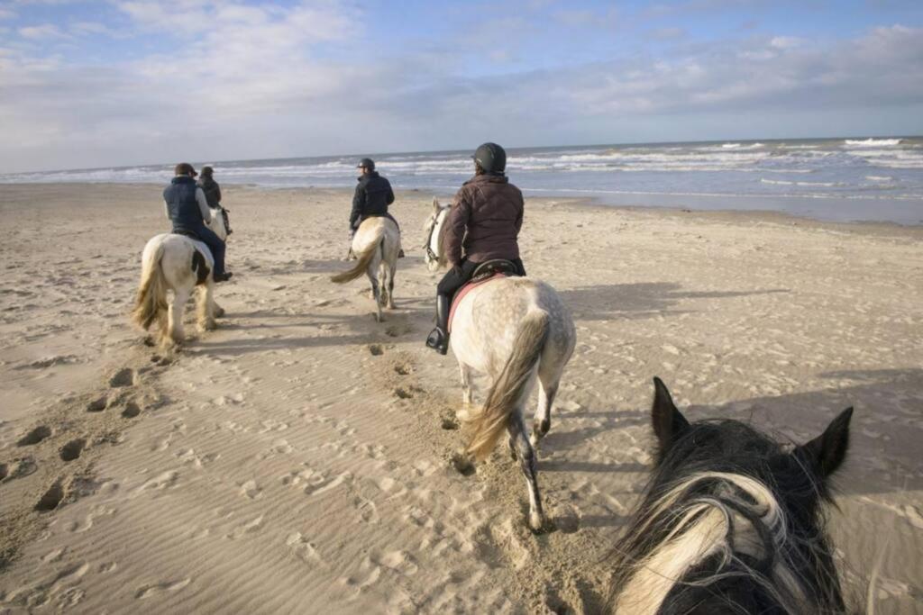 Maison Independante De Vacances Hardelot Plage นูฟ์ชาเทล-อาร์เดอโลต์ ภายนอก รูปภาพ